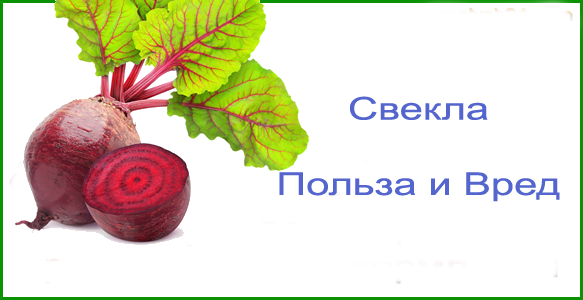 Вред свеклы. Надпись чем полезна свекла. Чем может быть вредна свекла. Свекла польза и вред спасибо. Не вредная свекла для кошек.